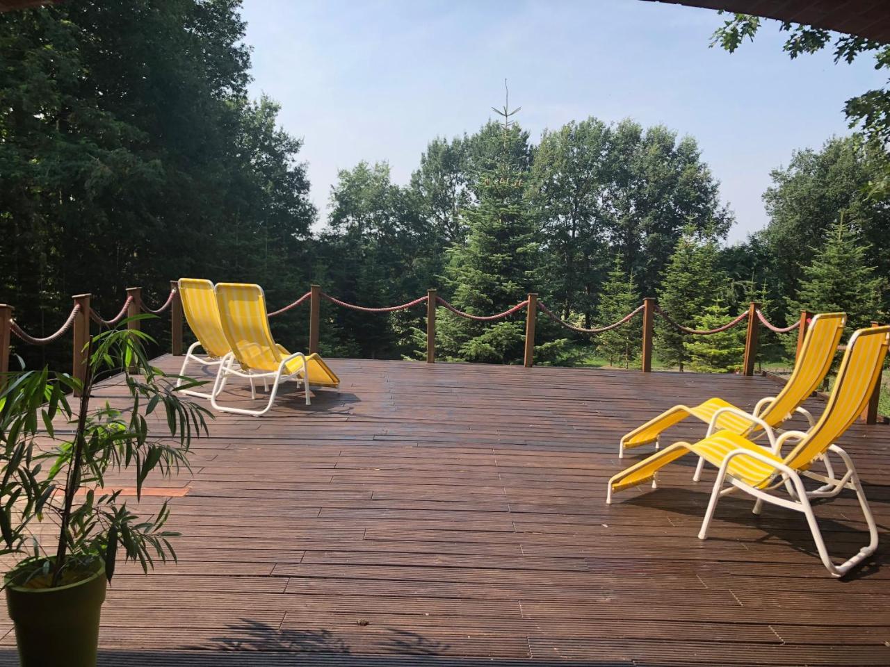 Hotel Niedersaechsischer Hof Bad Bentheim Eksteriør bilde